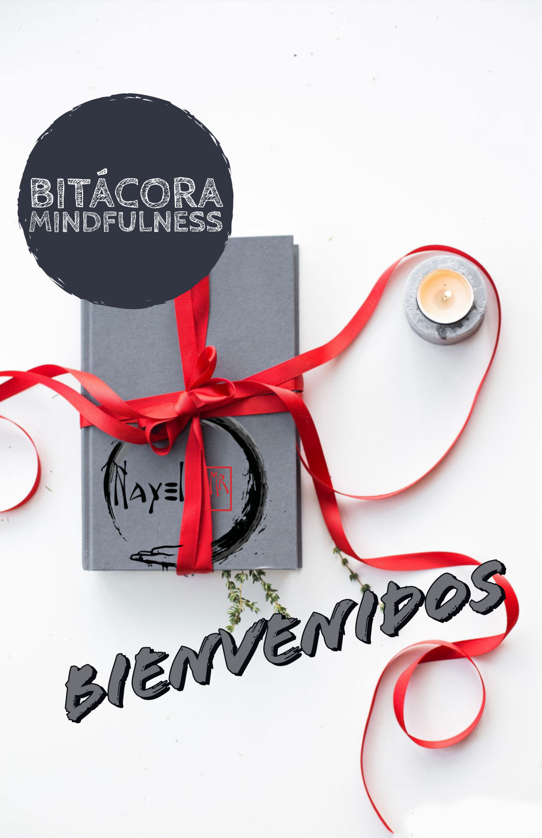 Bitácora de prácticas